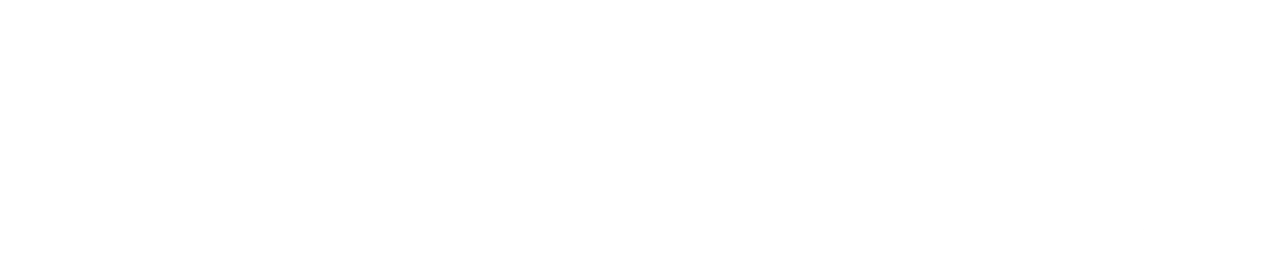 Bracesetters Logo High Res WHITE